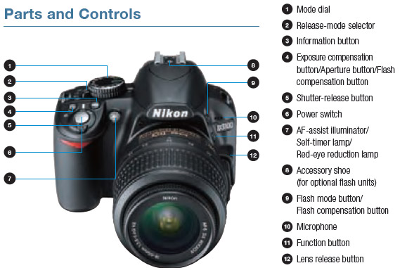 Nikon D3100 Camera Reviews to Help you Maximize the Usage of Your